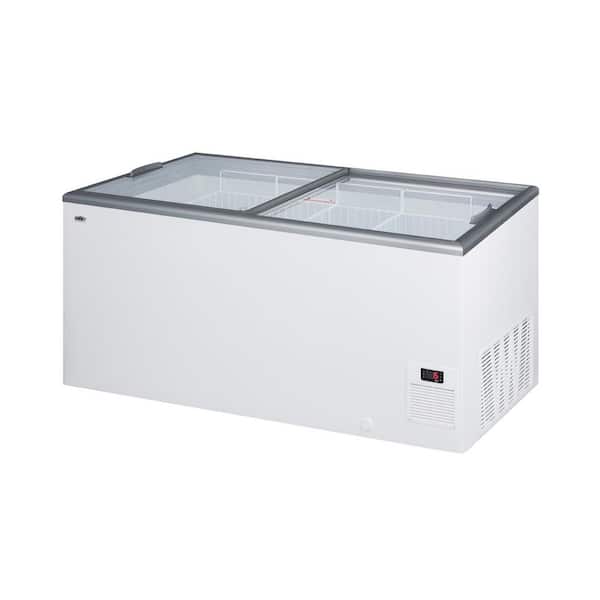Ancaster Food Equipment 160 L. 5.6 cu. Ft. Capacity Glass Top Novelty Ice  Cream Portable Freezer XS-160YX - The Home Depot