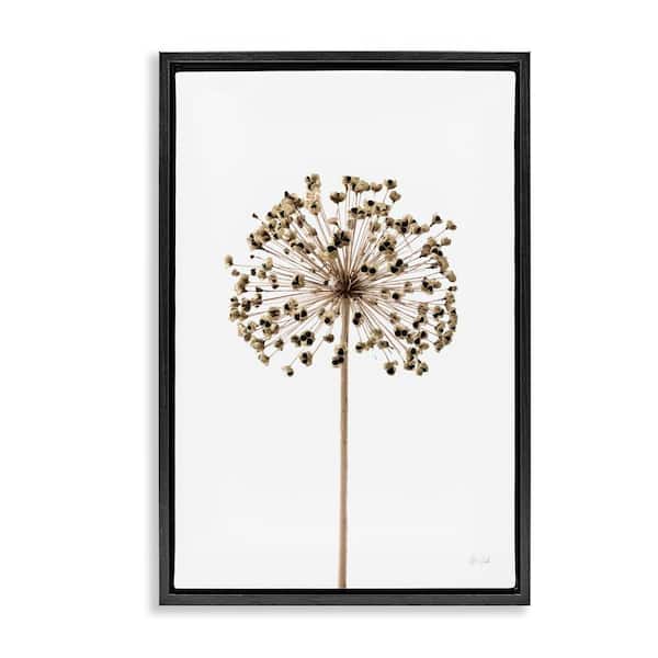 Stupell Industries Minimal Allium Bud by Deborah Revell Black Floater Frame Nature Graphic Art Print 31 in. x 21 in.