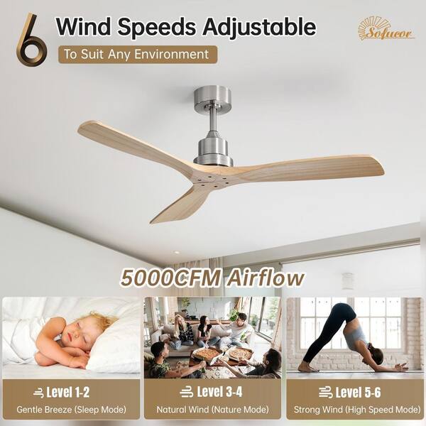 Sofucor 52 in. Indoor/Outdoor Brushed Nickel Downrod Mount Ceiling