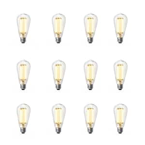 100-Watt Equivalent ST19 Dimmable Straight Filament Clear Glass E26 Vintage Edison LED Light Bulb, Soft White (12-Pack)