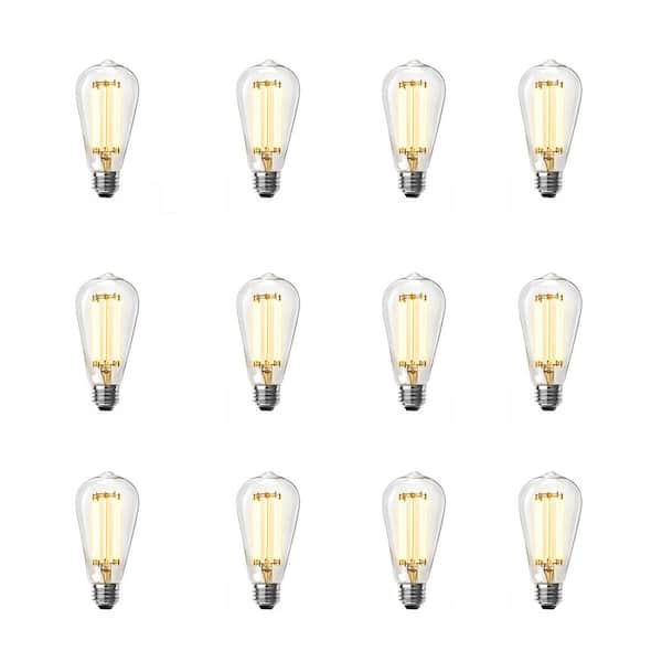 Feit Electric 100-Watt Equivalent ST19 Dimmable Straight Filament Clear Glass E26 Vintage Edison LED Light Bulb, Soft White (12-Pack)