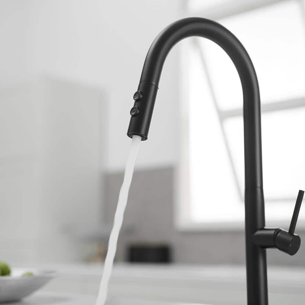 Matte Black Brass High Arc Single Handle Kitchen Faucet