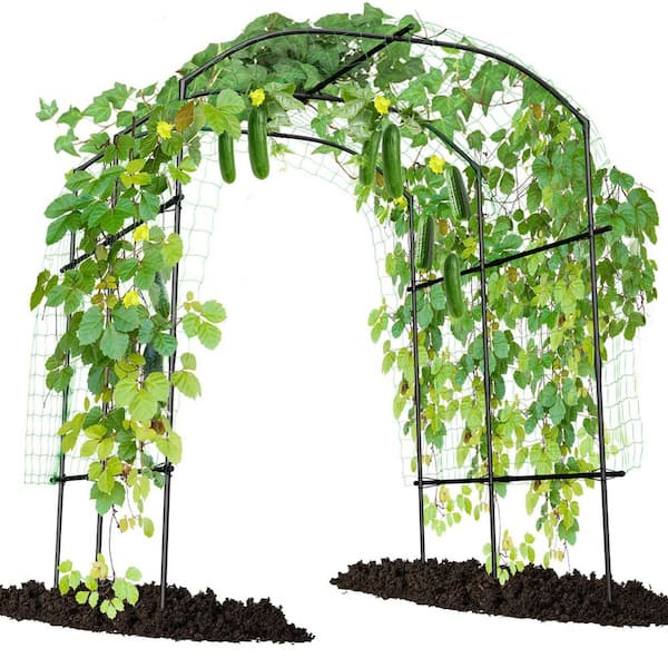 87 in. H x 75 in. L x 71 in. W Outdoor Garden Arch Trellis, Arbor Gazebo, Grape Trellis for Climbing Plants, Courtyard