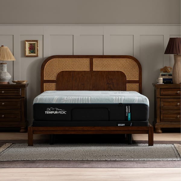 TEMPUR-PEDIC ProAdapt 2.0 Queen Medium 12 In. Mattress 10748151 - The ...