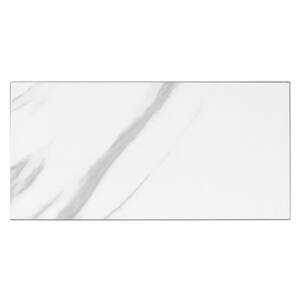 Carrara White & Gray Subway 3 in. x 6 in. Matte Glass Decorative Wall Tile (14 sq. ft. / case)
