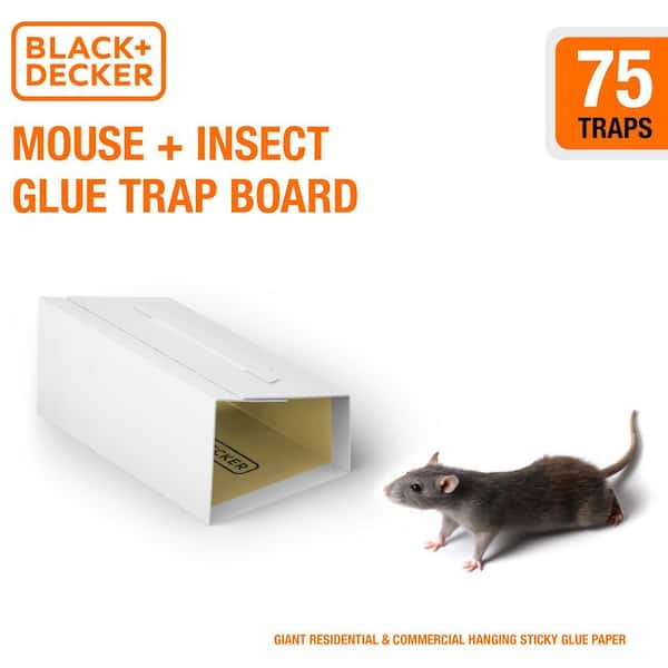 BLACK+DECKER Mouse Traps Indoor for Home Rat Trap Heavy Duty-Sticky Snake  Trap-12 Pre-Baited Glue Traps for Rodents, Insects, Spiders