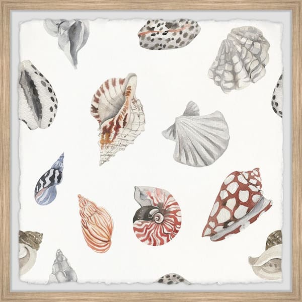 Wall Art Print, Seashells