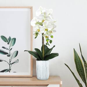 26 in. Cream White Artificial Phalaenopsis Orchid Flower Arrangement in Tall Embossed Stripe Ceramic Pot