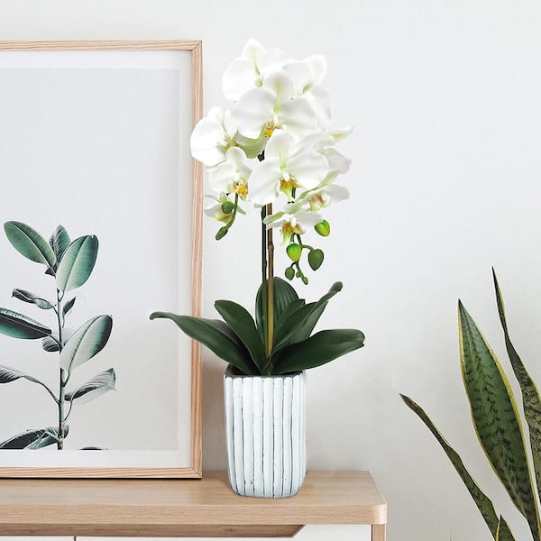 LIVING LUXURY 26 in. Cream White Artificial Phalaenopsis Orchid Flower Arrangement in Tall Embossed Stripe Ceramic Pot