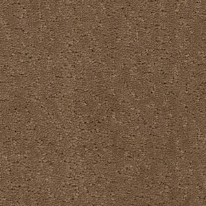 Adalida - Neutrino - Beige 40 oz. SD Polyester Pattern Installed Carpet