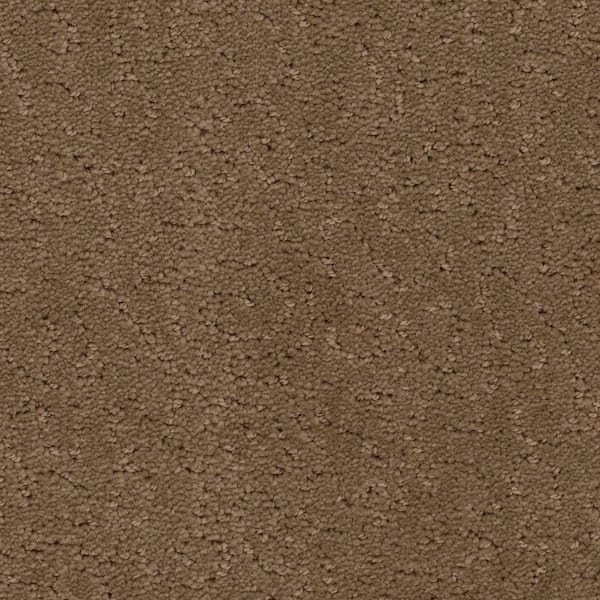 Home Decorators Collection Adalida - Neutrino - Beige 40 oz. SD Polyester Pattern Installed Carpet