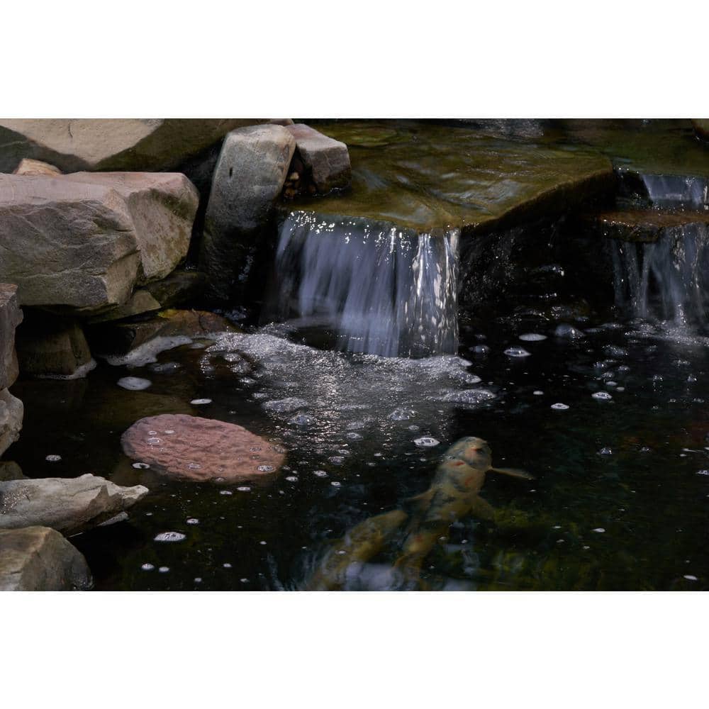 Large Nano-Porous Pink Pond Clarifier Rock