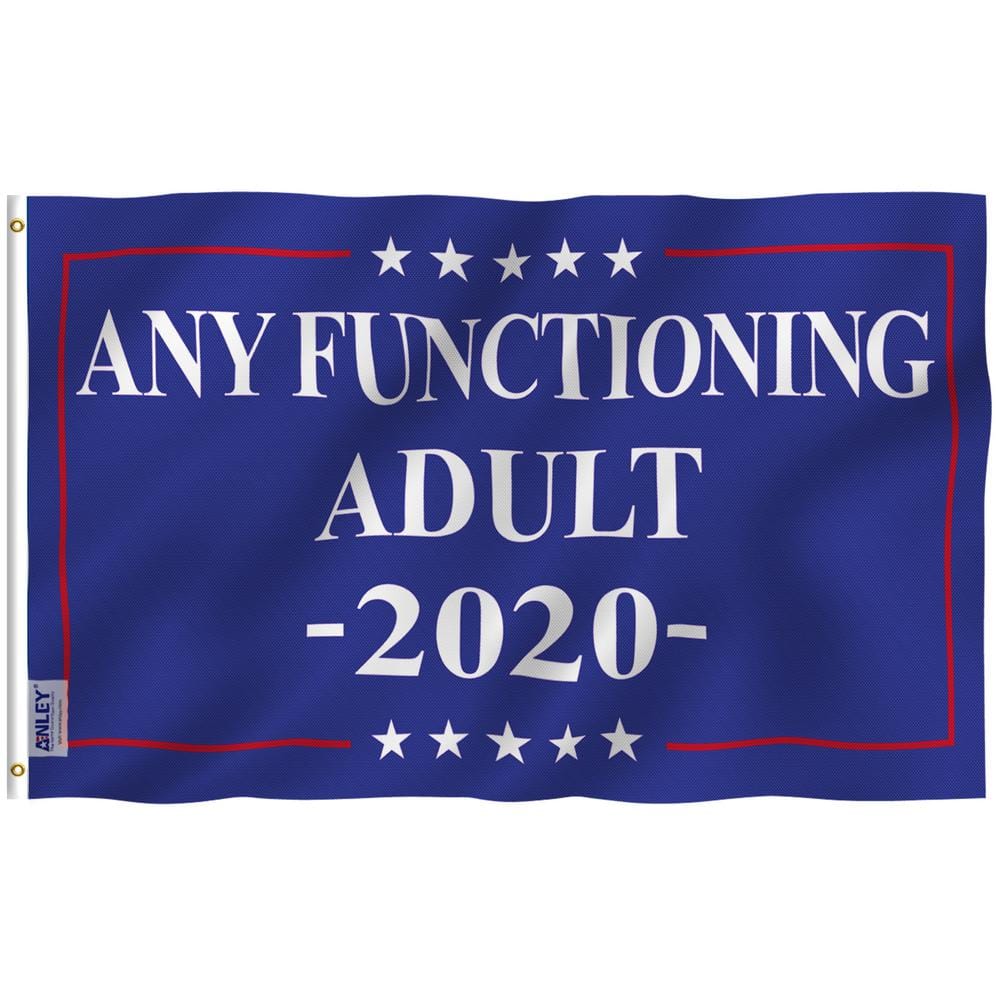 Fly Breeze 3 ft. x 5 ft. Polyester Functioning Adult 2020 2-Sided Flags Ban
