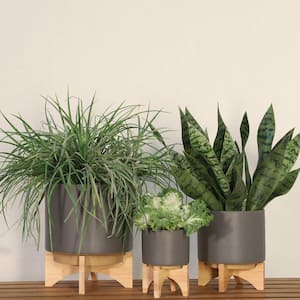 Mid-Century 5 In. Matte Gray Ceramic Planter Pot With Wood Stand Planter