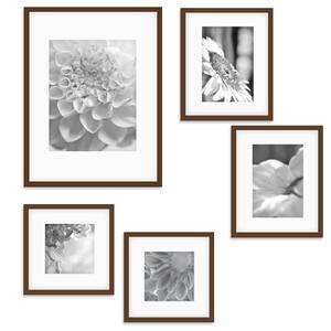Wall Kit Walnut Picture Frame (5-Pack)