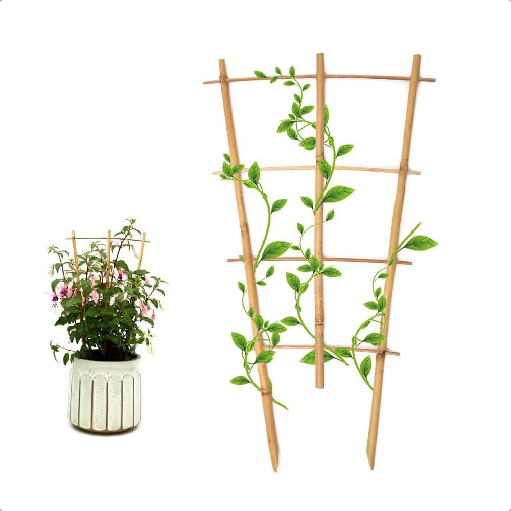 16 in. Bamboo Plant Trellis Fan Support Brown 3 Pack price history on PriceWatchPro