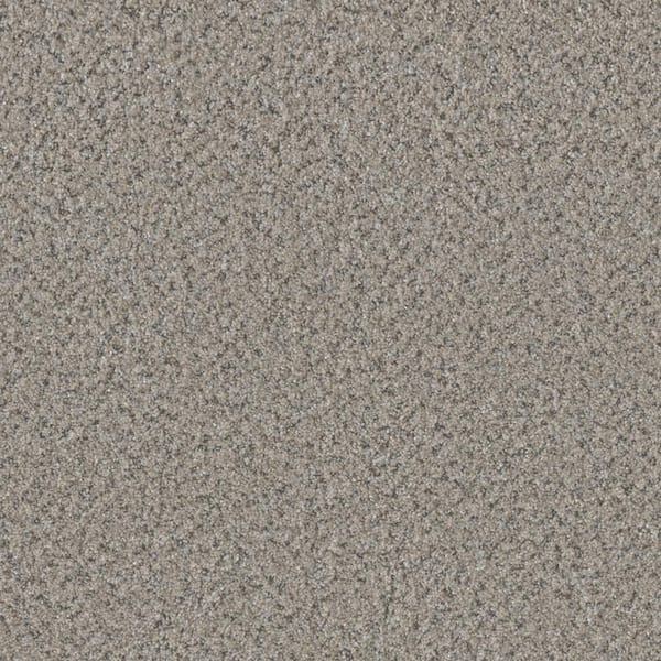 Manuscript II -Theme Gray -55 oz. SD Polyester Texture Installed Carpet