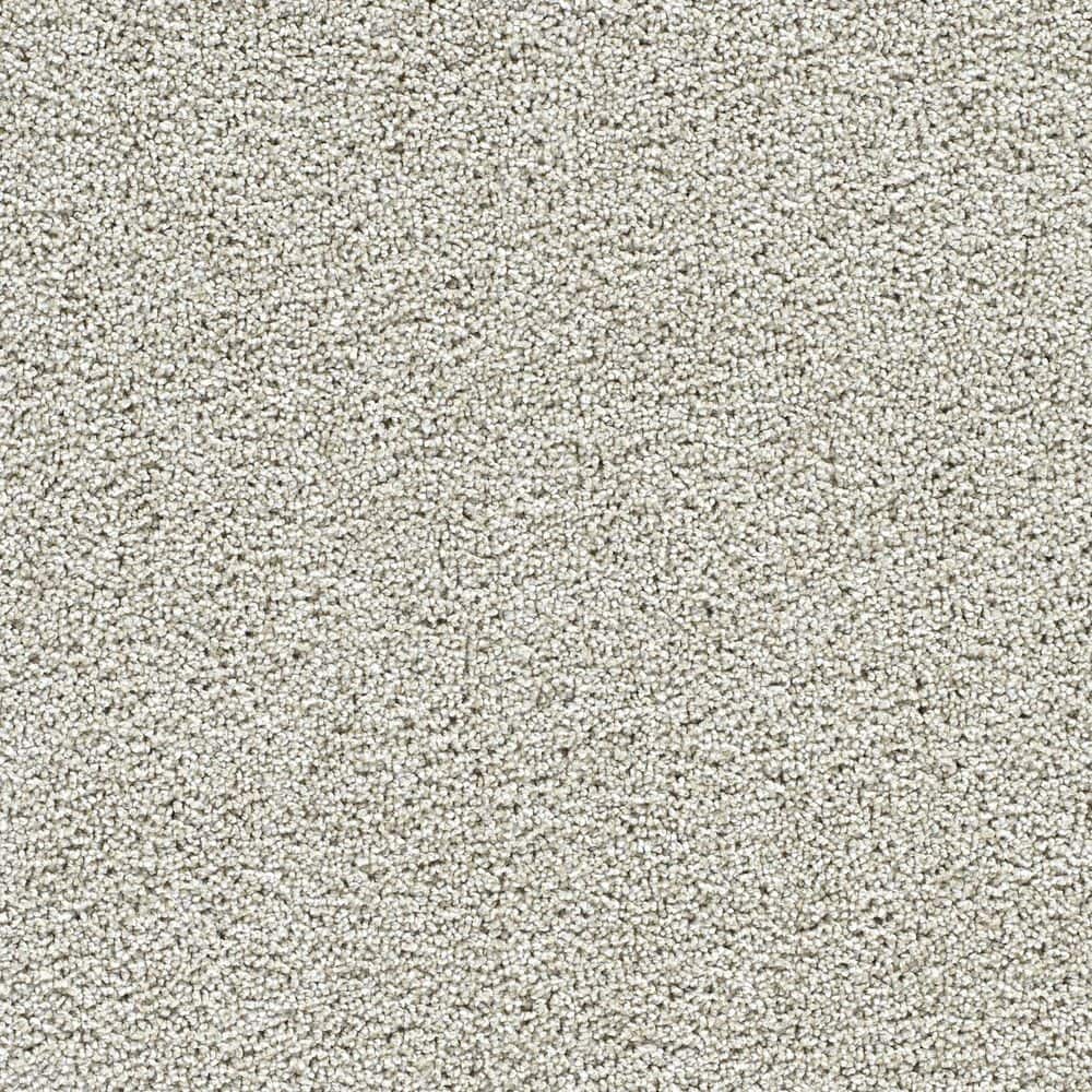 8 in. x 8 in. Texture Carpet Sample-Easel-Color Glaze price history on PriceWatchPro