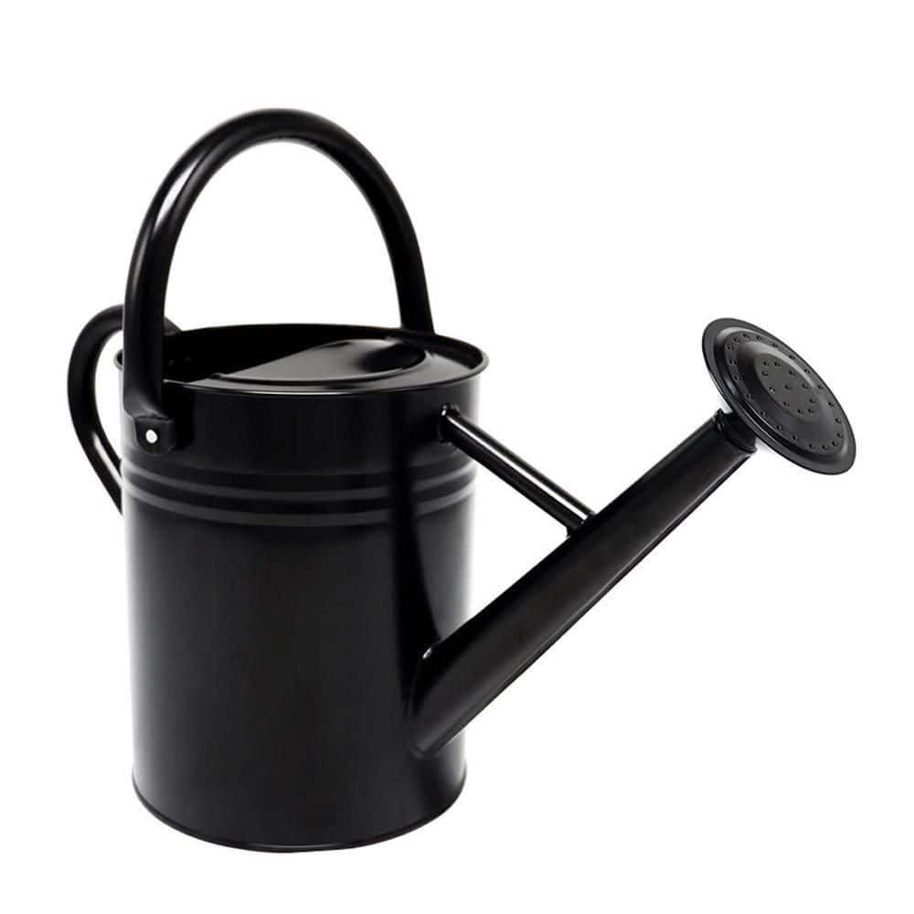 Dyiom 1 Gal. Black Metal Plant Watering Can with Handles