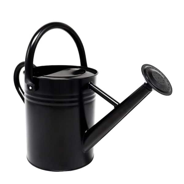 Dyiom 1 Gal. Black Metal Plant Watering Can with Handles, Galvanized Steel Watering Pot