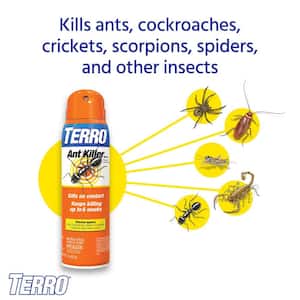 16 oz. Ant Killer Spray (2-Pack)