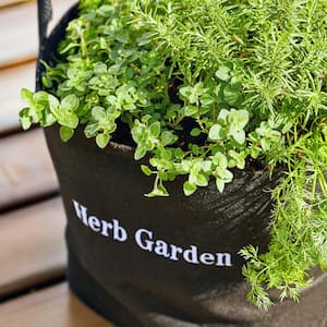 5 Gal. Portable Culinary Grow Bag Edible Herb Garden Kit with 4 Seasonal Plants