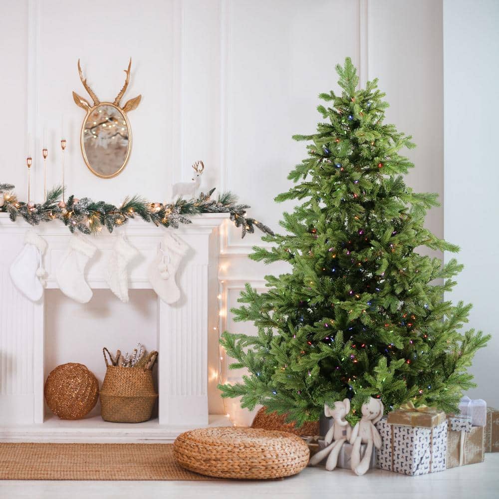Fraser Hill Farm 9-Ft. Foxtail Pine Christmas Tree with Dual Multicolor & Warm White LED Lights