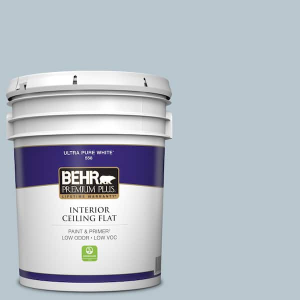 5 gal. #560E-3 Silver Strand Ceiling Flat Interior Paint