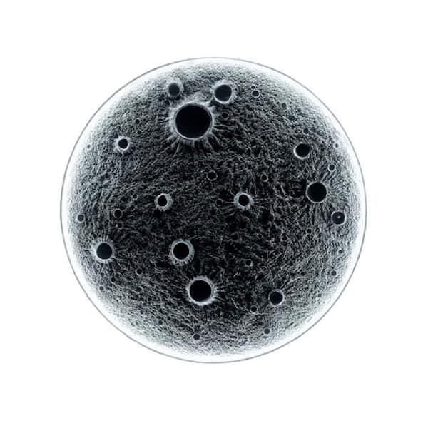 32 in. x 32 in. Gray Metal Work Realistic Resin Moon with Dimmable LED Lights Art Sculpture, Wall-Mounted Decor