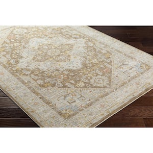 Avant Garde 10 ft. x 14 ft. Brown Border Indoor Area Rug