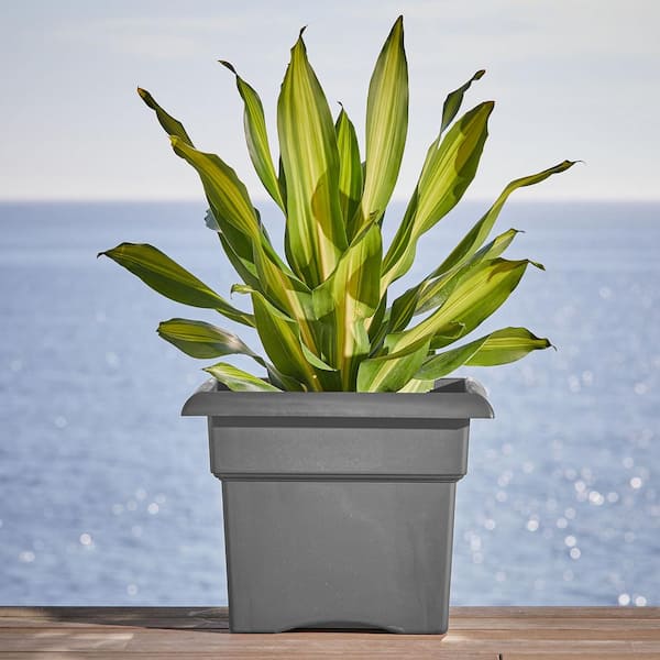 Veranda Square 18 in. Charcoal Plastic Deck Box Planter