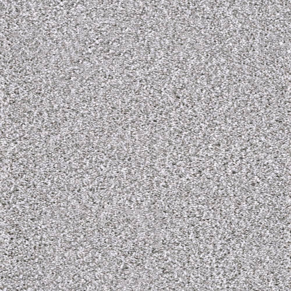 Home Decorators Collection Carpet Sample - Affectionate II - Color