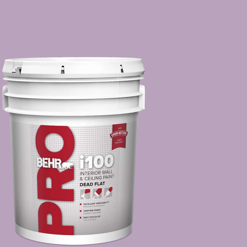 5 gal. #M100-3 Svelte Dead Flat Interior Paint price history on PriceWatchPro