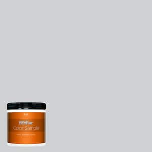 BEHR PREMIUM PLUS 8 oz. #N510-1 Silver Shadow Flat Interior Paint and ...