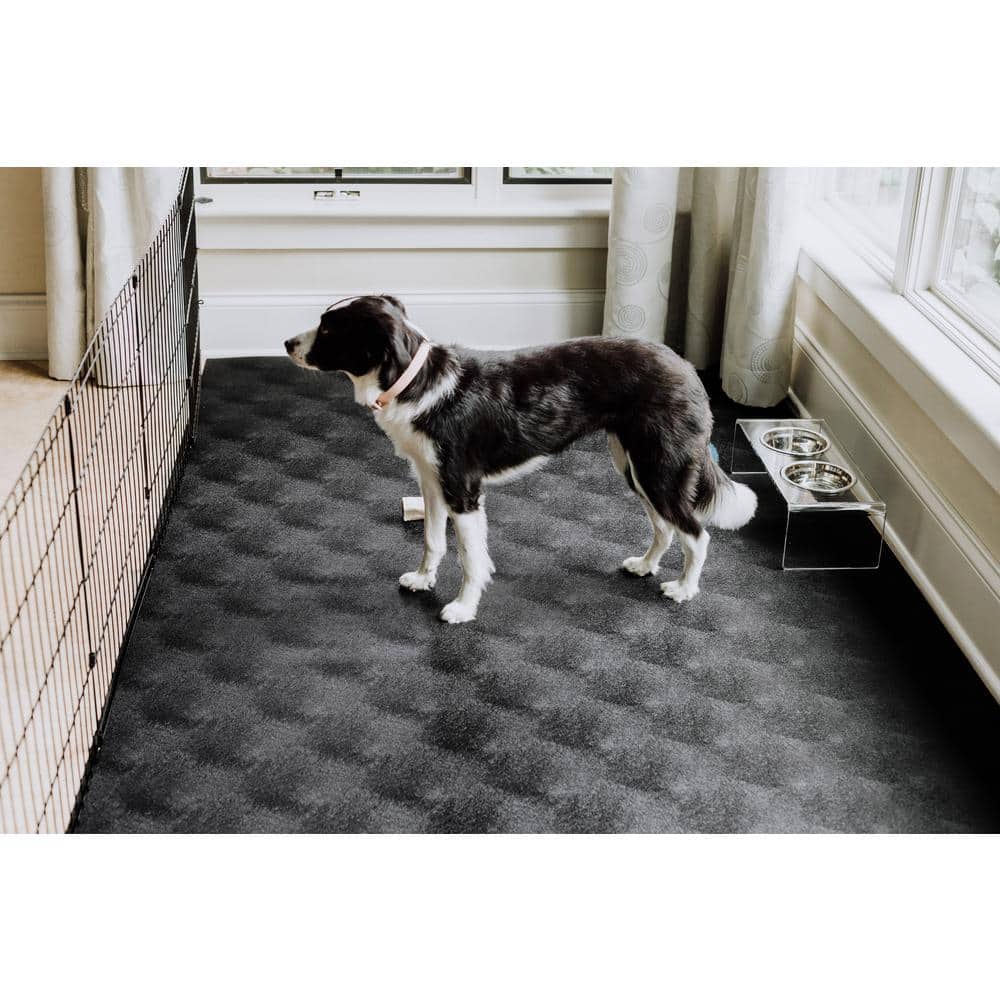 Midnight Black Vinyl Pet Floor Protector for Indoor and Outdoor Use