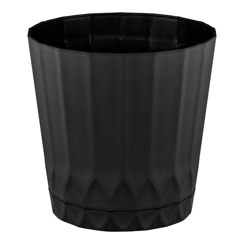 polished-black-vigoro-plant-