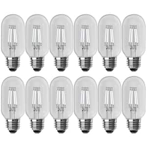 40-Watt Equivalent T14 Dimmable Straight Filament Clear Glass Vintage Edison LED Light Bulb, Daylight (12-Pack)