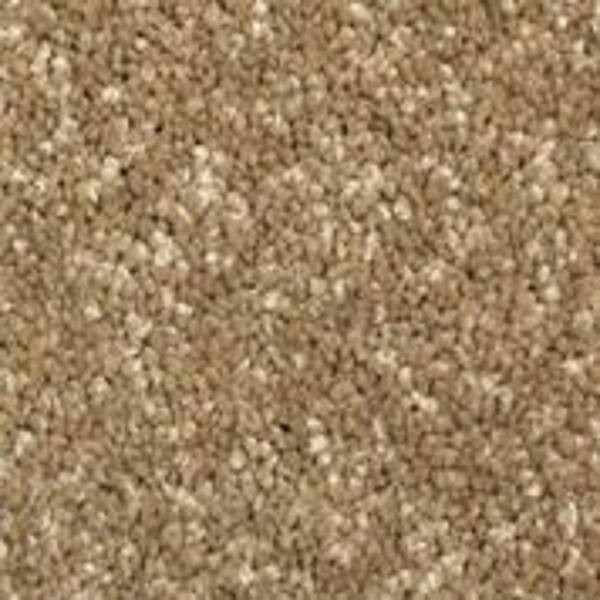 Home Decorators Collection Sycamore II - Barge - Brown 58 oz. SD Polyester Texture Installed Carpet