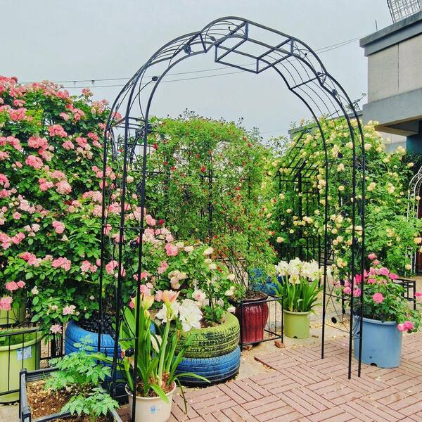 Jushua 74.4 in. x 98.4 in. Metal Garden Arch Garden Arbor Trellis Jushua 74.4 in. x 98.4 in. Metal Garden Arch Garden Arbor Trellis