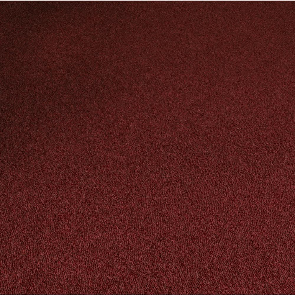 TrafficMaster 8 in. x 8 in. Loop Carpet Sample - Viking - Color