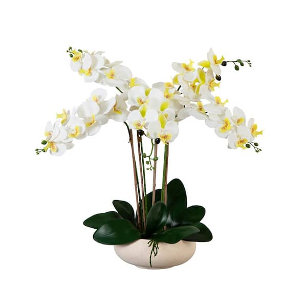 Nearly Natural 23 in. Artificial Phalaenopsis Orchid Arrangement in White Ceramic Planter (Real Touch)