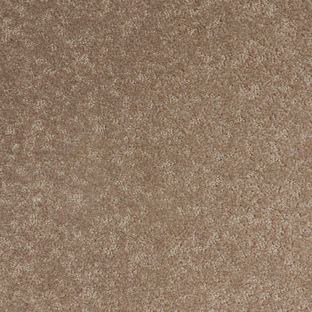 8 in. x 8 in. Pattern Carpet Sample-Warm Woven-Color Earthen price history on PriceWatchPro
