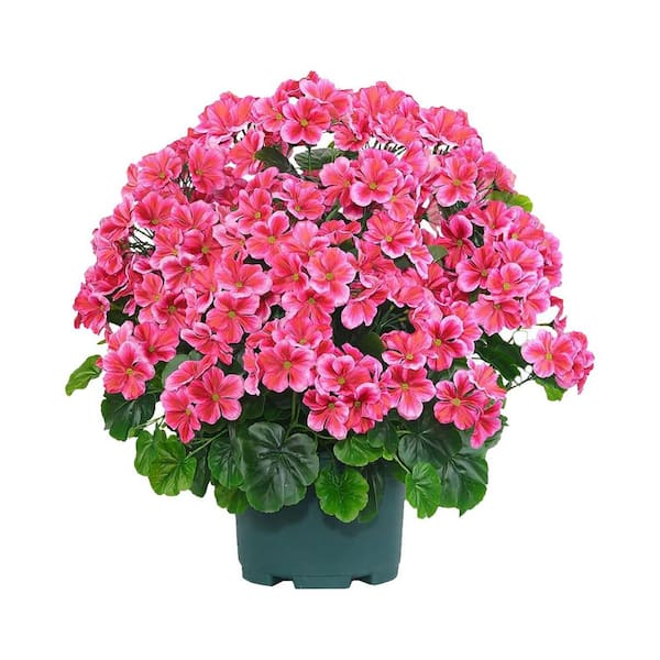 Afoxsos 20in Dark Pink Artificial Geraniums Bush for Outdoor Decor 19.70 in. H