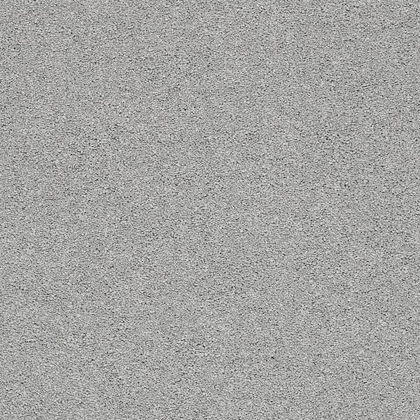 Lifeproof Coral Reef II - Warm Cider - Gray 93.6 oz. Nylon Texture Installed Carpet