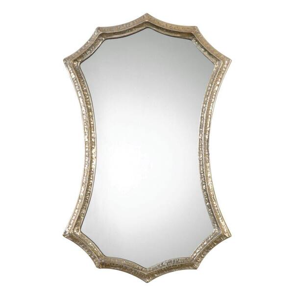 Unbranded 29.75 in. x 18.75 in. Silver-Champagne Ornate Framed Vanity Mirror