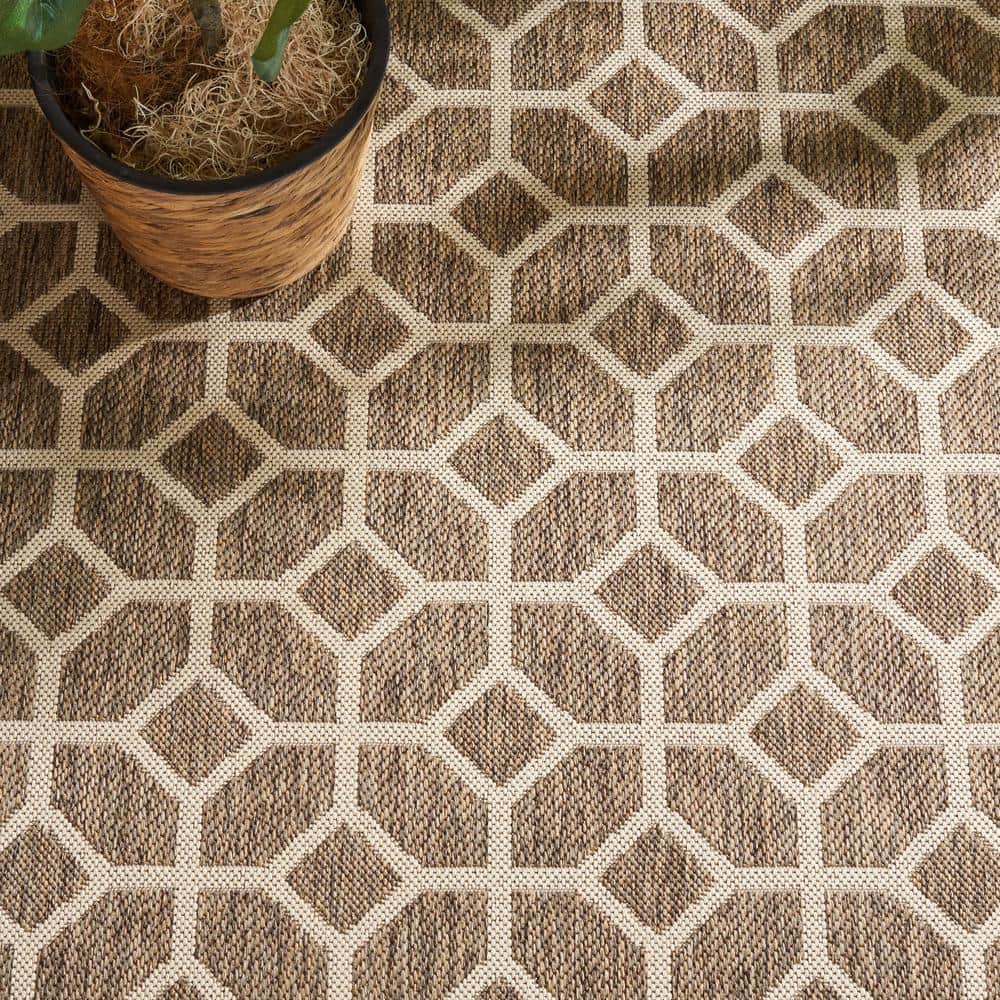 Brown and Beige Geometric Synthetic Indoor Outdoor Rug 48" x 26"