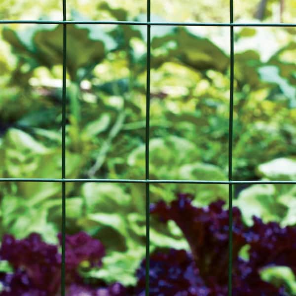 Garden Craft 60 in. H x 50 ft. L 2 in. x 4 in. Green Vinyl Coated Fence