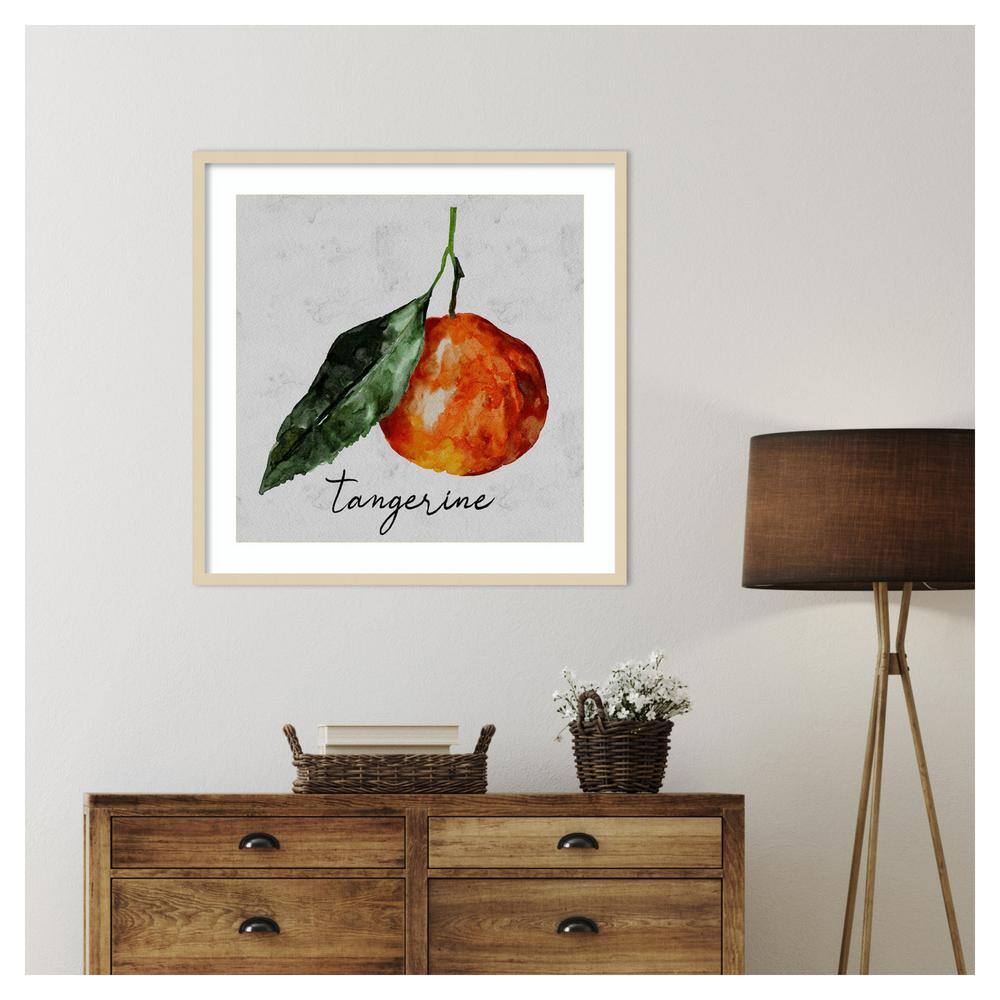 Summertime Citrus III Framed Tangerine Graphic Art Print
