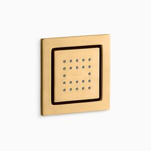 WaterTile Square 22-Nozzle Single-Function Body Spray in Vibrant Brushed Moderne Brass
