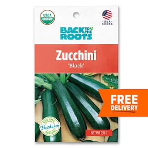Organic Summer Black Zucchini Squash Seed (1-Pack)